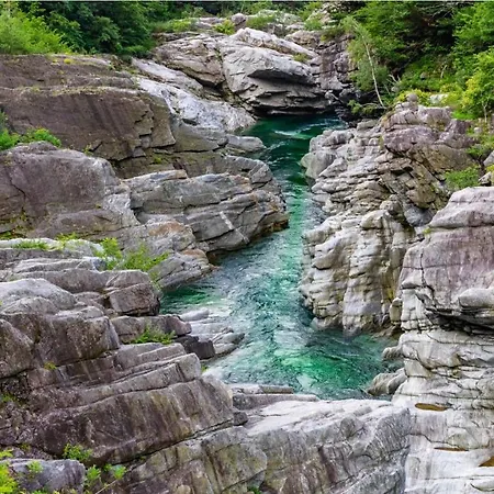 Apartment Attico Bellavista *